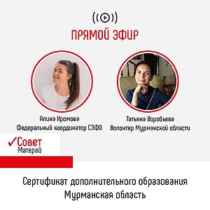«Онлайн-школа Совета Матерей»: дополнительное образование детей в Мурманской области