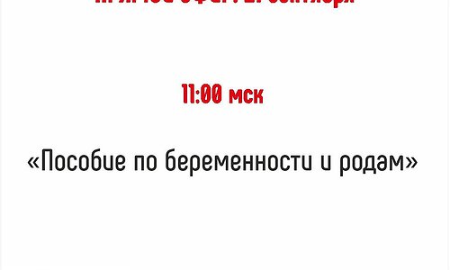 «Пособие по беременности и родам»