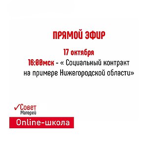 «Социальный контракт на примере Нижегородской области»