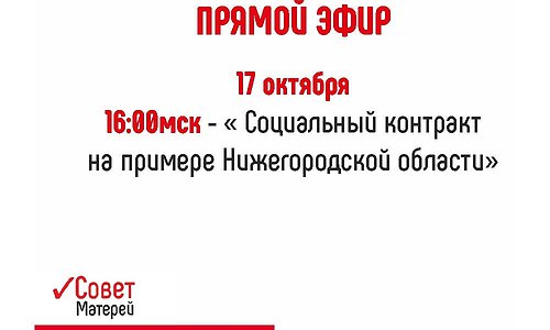 «Социальный контракт на примере Нижегородской области»